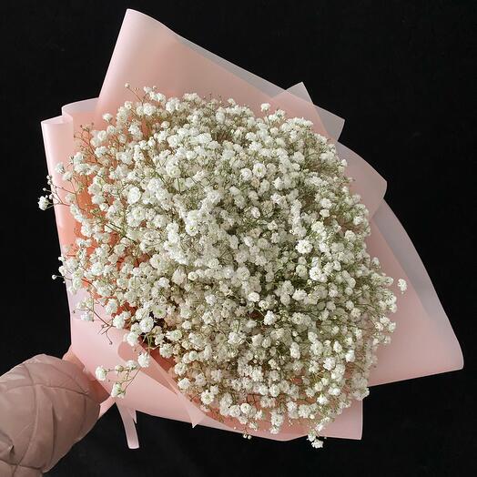 Mono de gypsophila