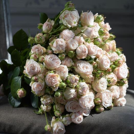 Ramo de rosas pionovidnyh