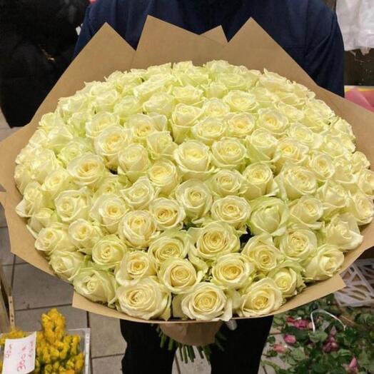 101 white roses in crafting
