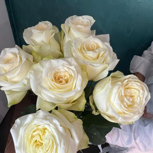 Monobucket of roses