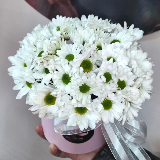 Composition Of Bush Chrysanthemums