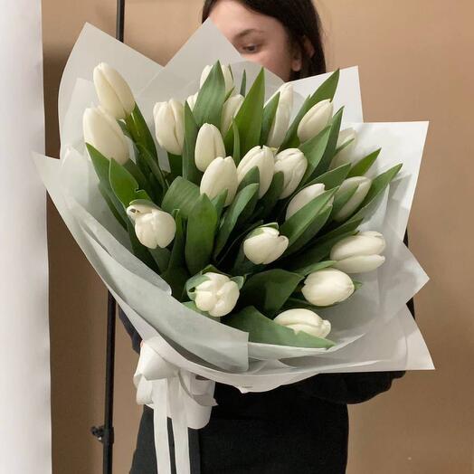 25 белых тюльпанов