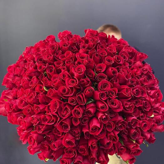 Bouquet of 201 red roses 80cm