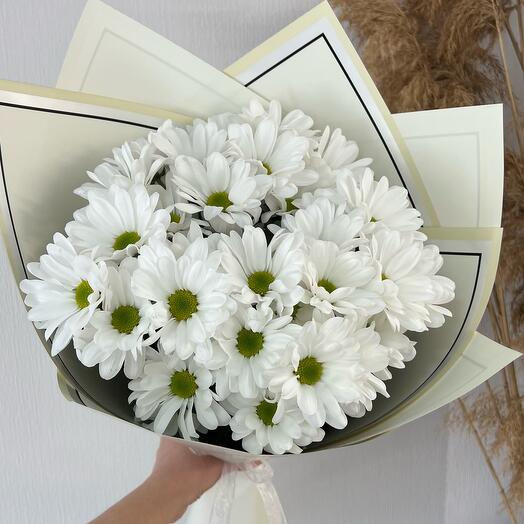 Моно из ромашковых хризантем🌸