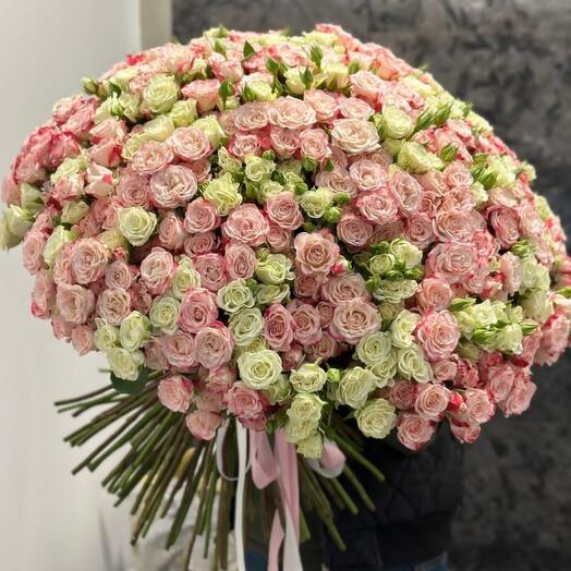 Rosas arbustivas