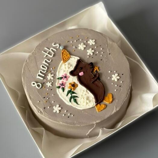 Bento cake for 8 months baby