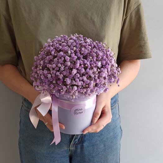 Purple gypsophila in a box