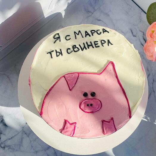 Макси бенто "Я с Марса, ты свинера"