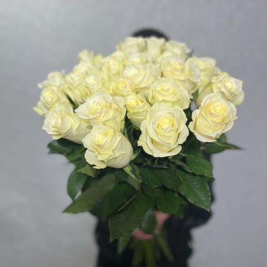 Розы 25 штук
