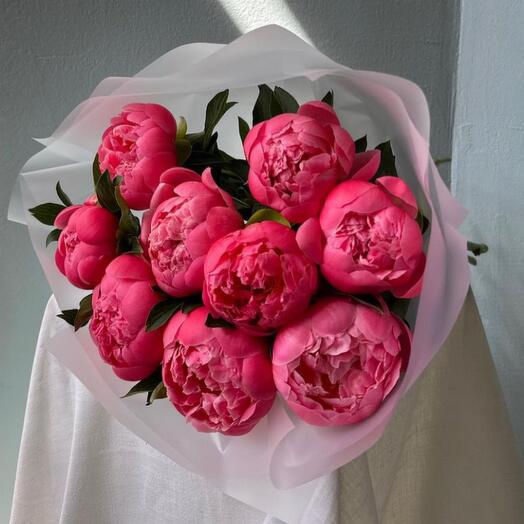 Bouquet of coral peonies 9 pieces