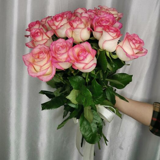 19 rosas