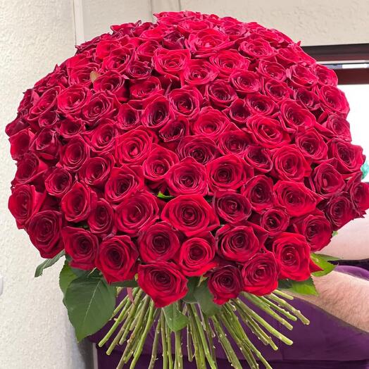 101 КРАСНАЯ РОЗА 😍