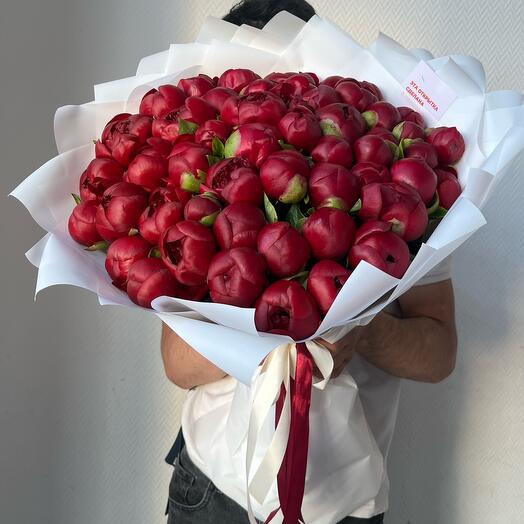 Пионы Ред Шарм