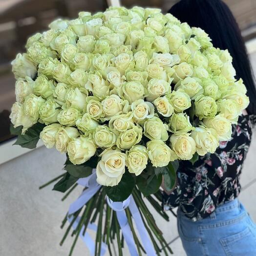 Белые розы 101 шт