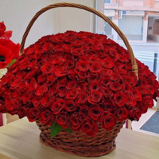 Cesta con 300 rosas rojas