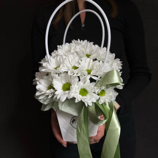 The chamomile compliment