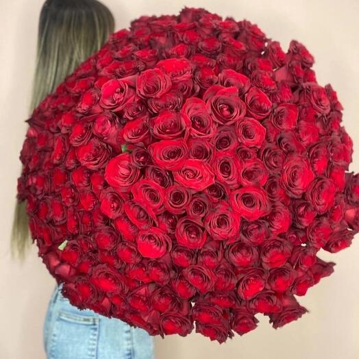 Букет из 201 розы 🌹