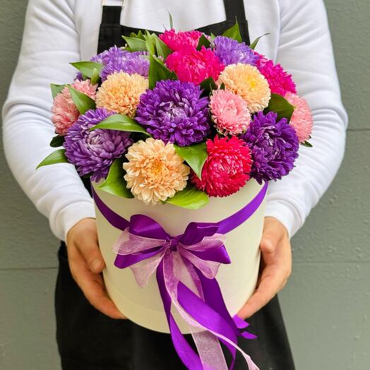 Asters multicolores en una Caja