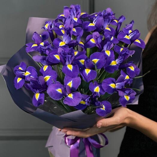 Monobooket de iris