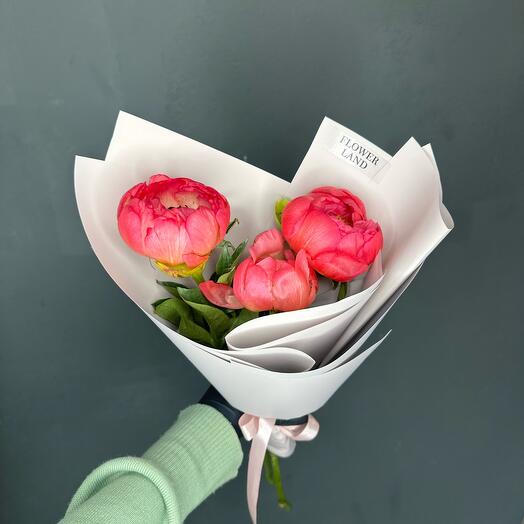 Пионы Корал Шарм