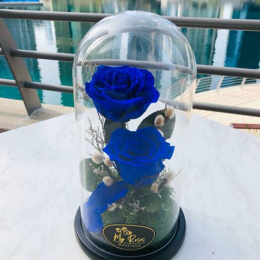 Twin Blue Forever Roses (Medium)