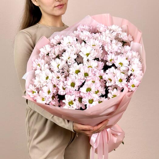 Розовый букет из 15 хризантем 0160М-015