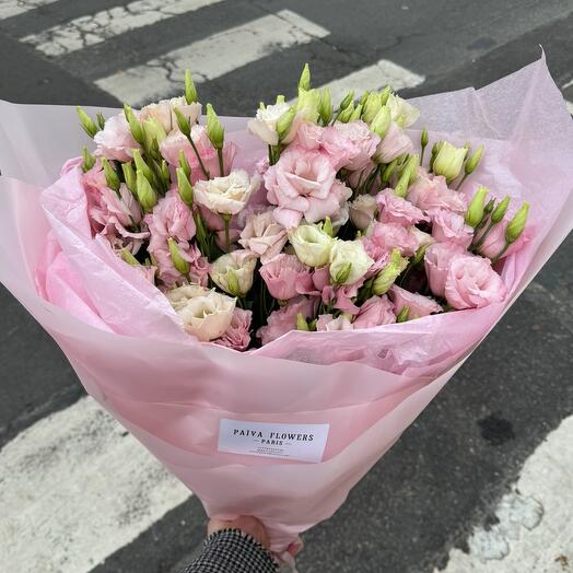 Lisianthus pink 15 stems