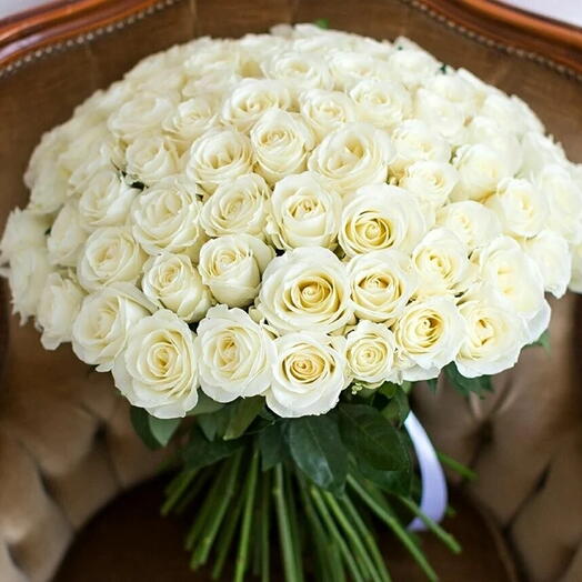 101 White Rose