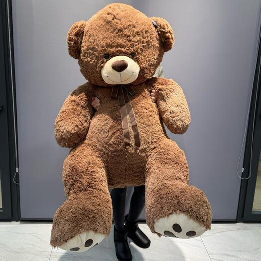 Мишка шоколад 110