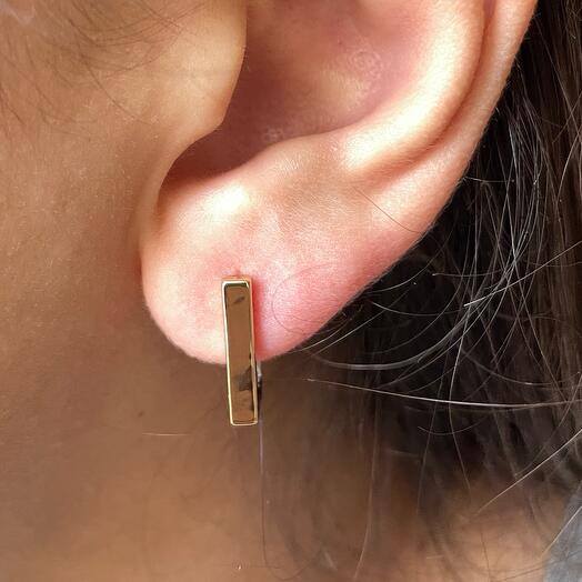 Bicolor earrings