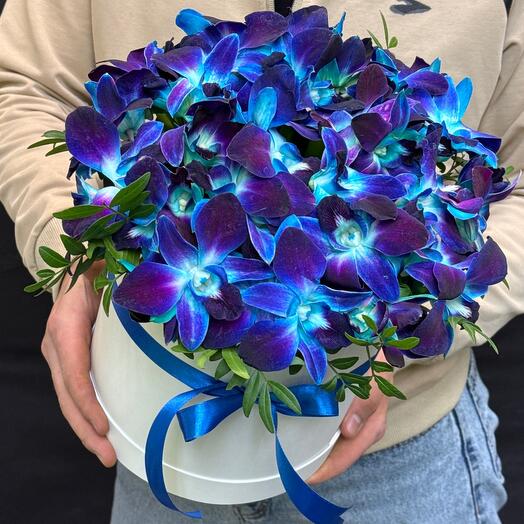 Синие орхидеи в коробке💙