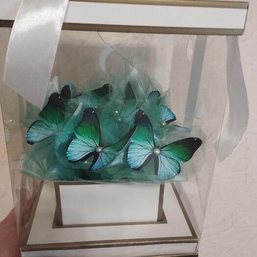 Butterfly composition