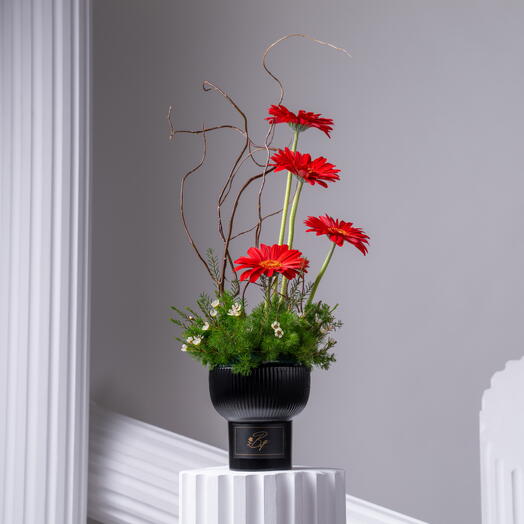 Blazing Blooms