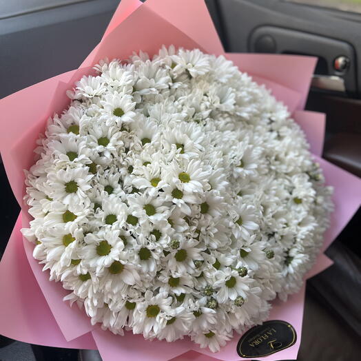 Ქრიზანთემაa