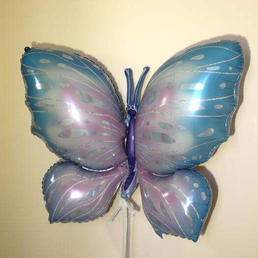 Meter-long flying butterfly