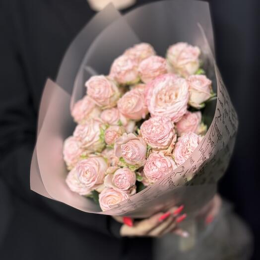 Rosa arbusto peonía 7
