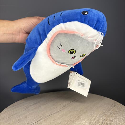 🦈 Акула🦈