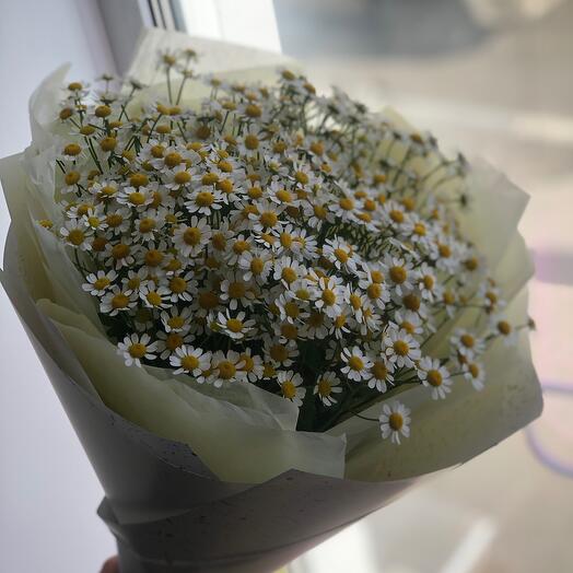 Комплемент из ромашек