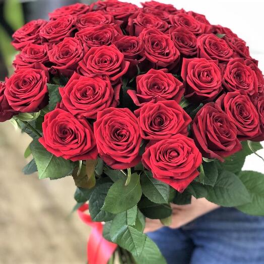 Розы Эквадор 33 шт
