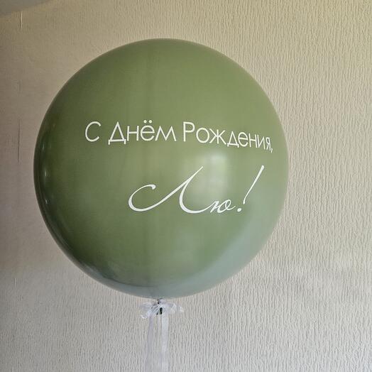 Воздушные гелевые шары эвкалипт на день рождения девушке, жене, маме, девочке, супруге, мужу, мужчине 1шар