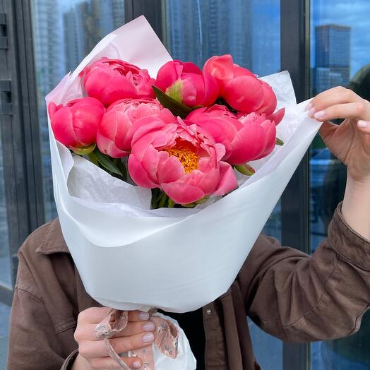 Пионы коралловые 7 штук