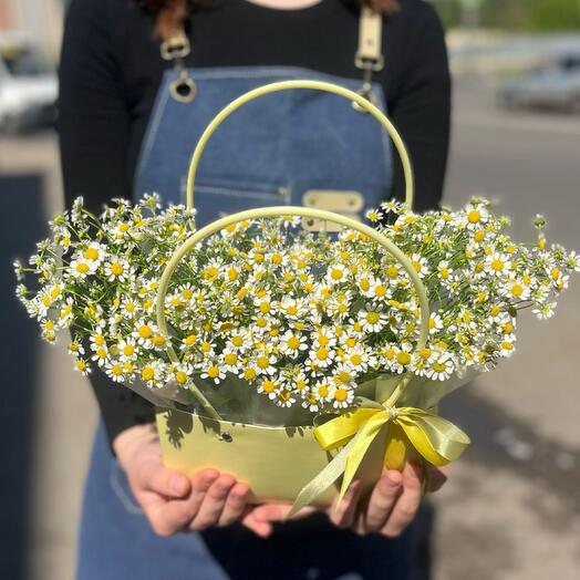 Стойкая ромашковая сумочка 👜