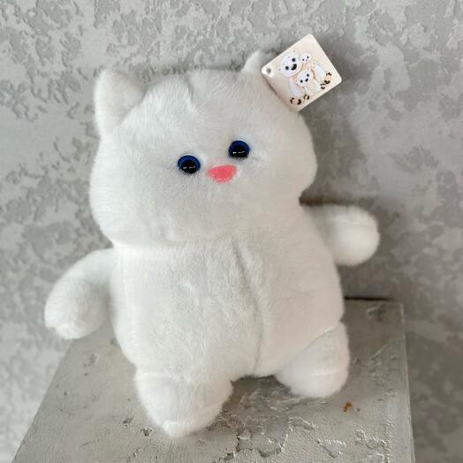 Котик белый