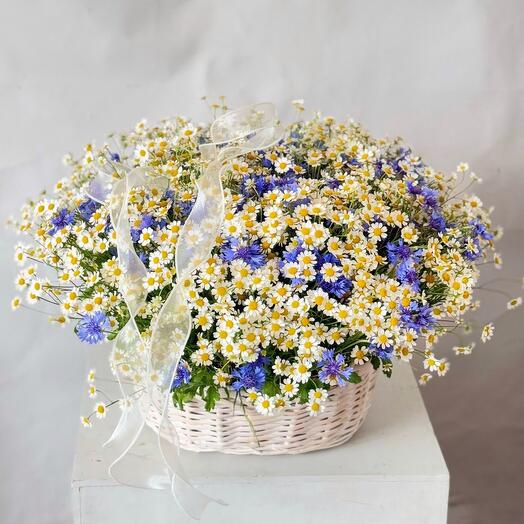 Basket with daisies and cornflowers