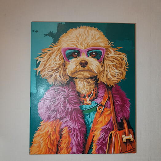 Стильная собачка