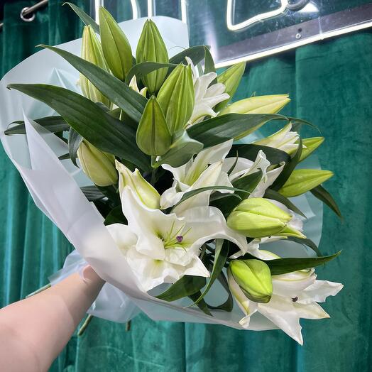 Лилия белоснежная