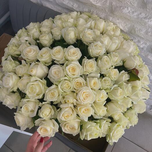 Ramo de 151 Rosas