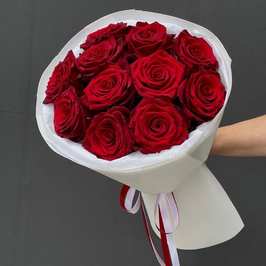 Rosa 11