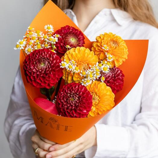 Георгины MF1672