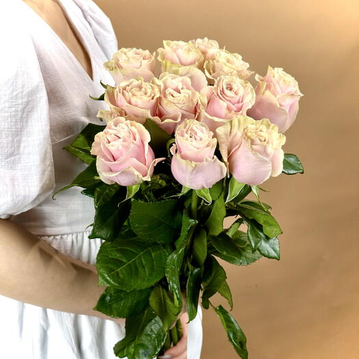 Розовая роза Пинк Мондиаль Pink Mondial 11 шт